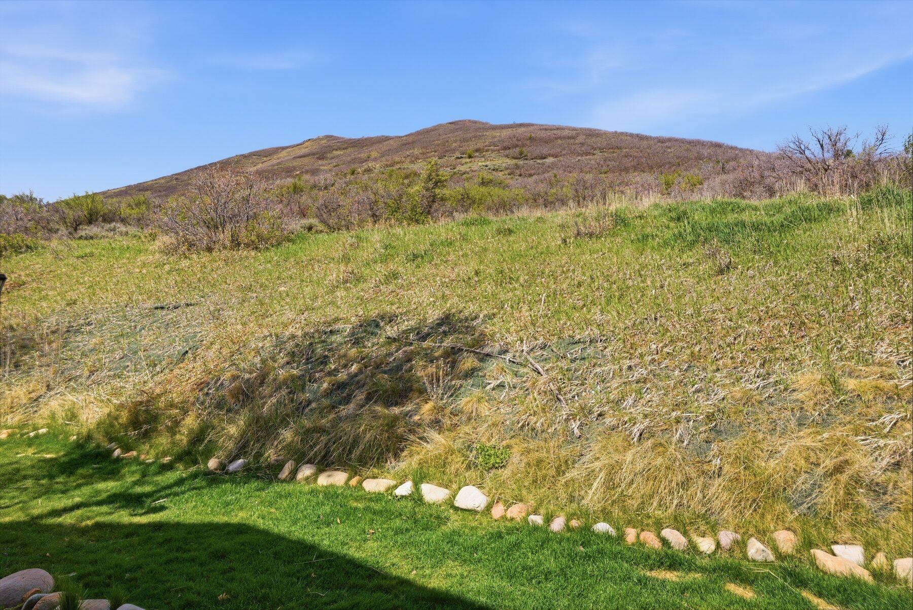 Green hillside and mountain view with trail access behind Swiss Oaks condo Midway